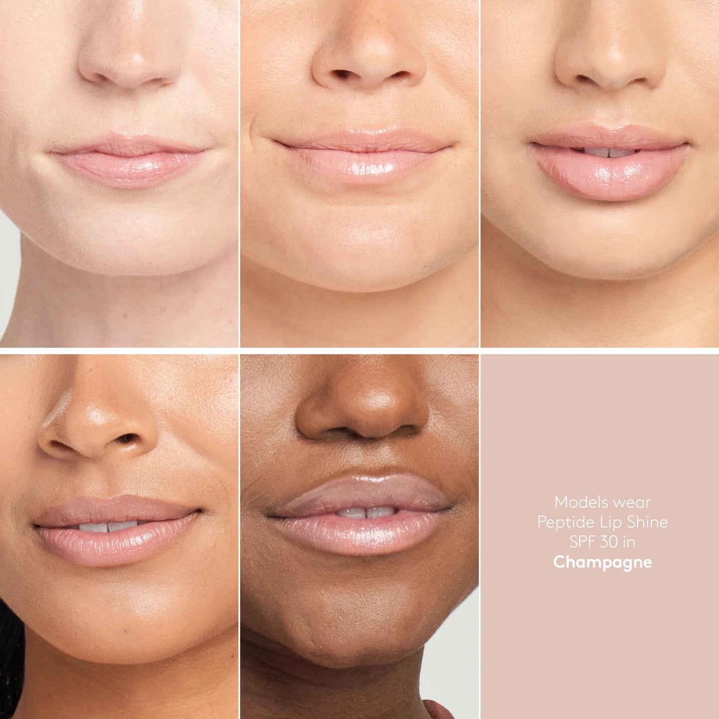 Peptide Lip Shine SPF 30 Champagne