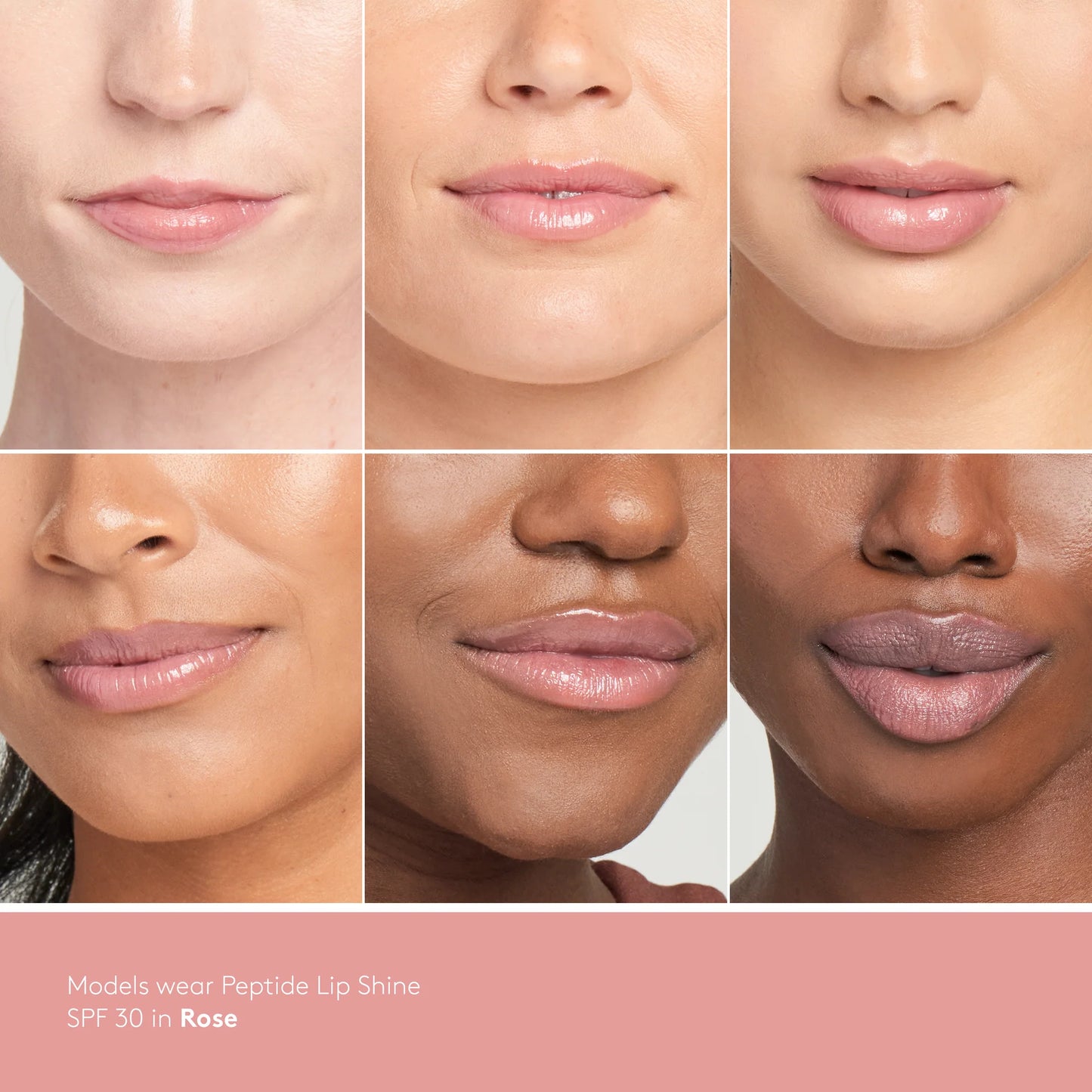 Peptide Lip Shine SPF 30 Rose