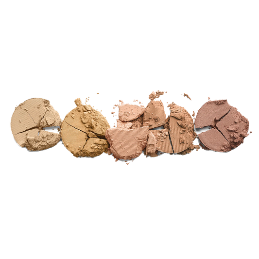 ColoreScience Mineral Corrector Palette SPF 20